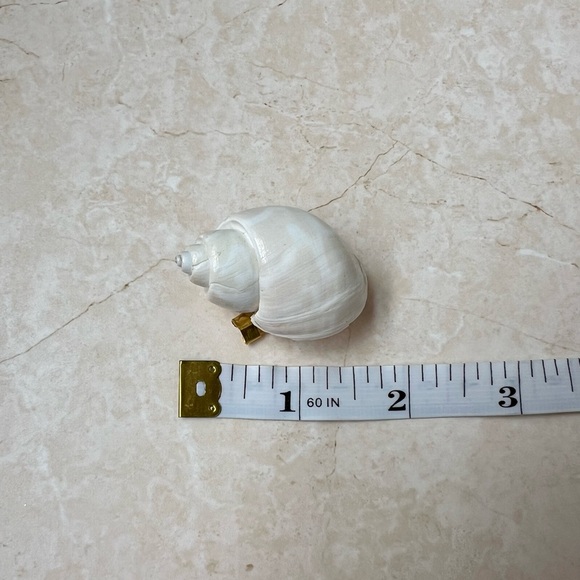 Seashell brooches (2) - Picture 6 of 8